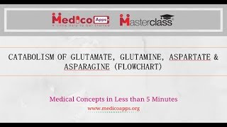 CATABOLISM OF ASPARTATE ASPARAGINE amp GLUTAMATE GLUTAMINE [upl. by Johathan]