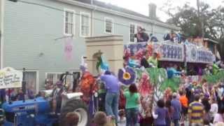 New Orleans Mardi Gras Krewe of Thoth Parade [upl. by Ellenahc]