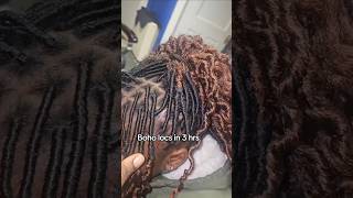 Havard University Boho locs [upl. by Odnesor231]