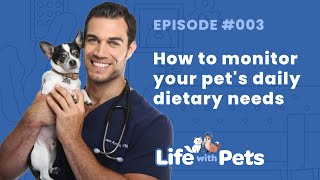 How to Stay Ahead of Your pets Dietary Health Life with Pets Podcast Episode 3 [upl. by Misaq778]