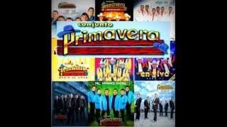 Conjunto primavera MIX [upl. by Huey447]