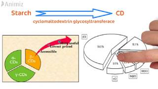 Cyclodextrin in depth [upl. by Olson]