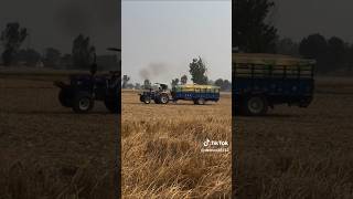 youtubeshorts gurudwarabolisahibpehowa dera balochan da💪🚜🚜🚜🚜🚜💪💪💪💪 [upl. by Lapham183]