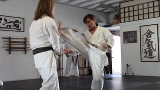 variations on kicking to the front  mae geri [upl. by Weidman]