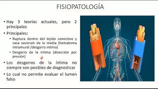 Disección carotidea y de la arteria vertebral [upl. by Dukey]