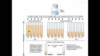 Microbiological Examination of Water MPN [upl. by Hutner852]