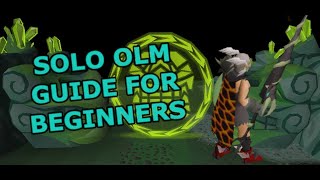 InDepth Solo Olm Guide For Beginners [upl. by Deryl799]