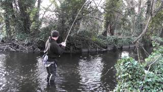 Stick Float Fishing on the River Wandle [upl. by Hardigg]