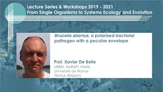 Brucella abortus a polarised bacterial pathogen with a peculiar envelope by Prof Xavier De Bolle [upl. by Ayekin]