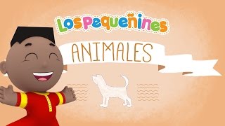 Los Pequeñines  Actividades  ANIMALES  Perro [upl. by Jorrie]