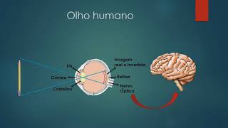 Olho Humano  Funcionamento Físico e problemas de Visão [upl. by Goles808]