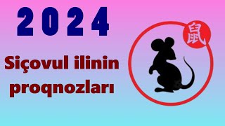 2024  Siçovul Siçan ili [upl. by Ashlie63]