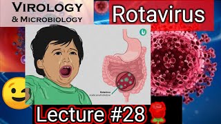 reovirus reovirus replication reovirus family rotavirus rotavirus microbiologyrotavirus vaccine [upl. by Ytteb640]