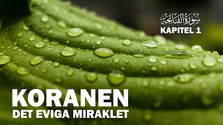 UPPLÄST KORAN  Kapitel 1  alFatiha  INGRESSEN  KORANENS BUDSKAP  koranenpåsvenska [upl. by Ophelia]