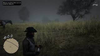 Red Dead Redemption 2 online Hennigans Stead Central Treasure map location [upl. by Kcaj]