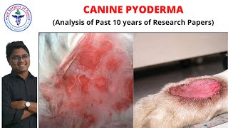 Pyoderma  Canine Diseases  Lecture 01 [upl. by Rozele]