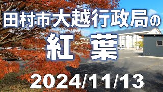 田村市大越行政局の紅葉 [upl. by Mobley]