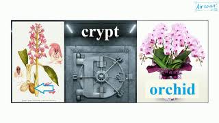 cryptorchidism [upl. by Jamil]