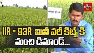 Paddy Variety IIR  93R Mini Kits  Huge Demand For Paddy Variety IIR  93R  hmtv Agri [upl. by Nylrahc]