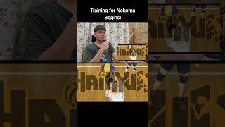 Training for Nekoma Begins  Haikyuu Season 1 Episode 11 Reaction [upl. by Serica954]