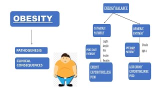 Obesity  Pathogenesis amp its Clinical Consequences  Doodle Animation  Simplified Explanation [upl. by Galateah]