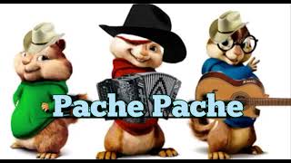 Pache Pache  Alvin y Las Ardillas Cumbia 2024 [upl. by Ahsilrak]