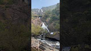 Dudhsagar Falls The IconWhite Cascade of Goa DudhsagarFalls GoaTourism indiatravel [upl. by Mellicent]