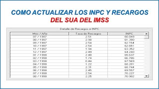 COMO ACTUALIZAR LOS INPC Y RECARGOS DEL SUA DEL IMSS 2024 [upl. by Ecinwahs392]