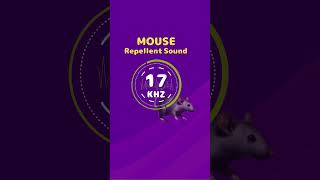 Mouse amp Rat Repellent Noise Highfrequency sounds [upl. by Barrett]