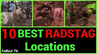 10 Best RADSTAG Locations [upl. by Billat439]