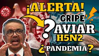 ¡IMPORTANTE GRIPE AVIAR H5N2 ¿POTENCIAL DE PANDEMIA [upl. by Nilkcaj]