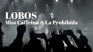 Lobos  MISS CAFFEINA Y LA PROHIBIDA Fin de gira DETROIT MOTOR CITY SHOW [upl. by Limaj]