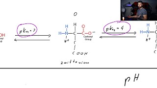 Isoelectric point of Amino Acids and Proteins  Zwitterion Net charge Table [upl. by Akemej]