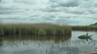 The Norfolk Broads Beyond Potter Heigham [upl. by Emirej]