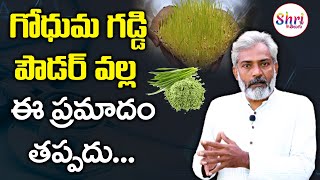 Wheatgrass Juice  Wheatgrass Powder  Health Benefits of Wheatgrass  Shritv Telugu [upl. by Sevik61]