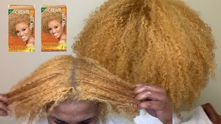 Impulsively Dying My NATURAL hair BLONDE  No Bleach  No Breakage Cream Of Nature Lightest Blonde [upl. by Llezo]