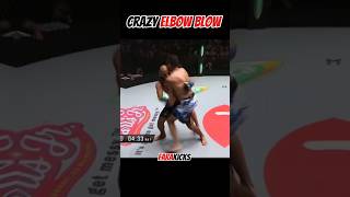 Crazy Elbow Blow muaythai mma boxing [upl. by Llig]