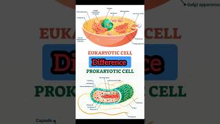 Difference between Eukaryoticampprokaryotic cellnaert all Gk exam scienceeducation [upl. by Nodroj]