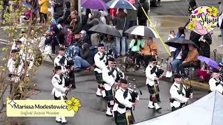 Clan Gordon Pipe Band  Daffodil Parade 2024 [upl. by Ardin]