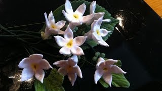 How to Make a Gum Paste Stephanotis [upl. by Tanaka]