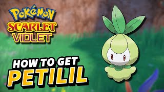 Pokemon Scarlet amp Violet How to get PETILIL Location [upl. by Asirap]