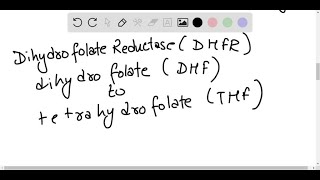 Is trimethoprim a mechanixmbased inhibitor of bacterial dihydrofolate reductase [upl. by Nonie]