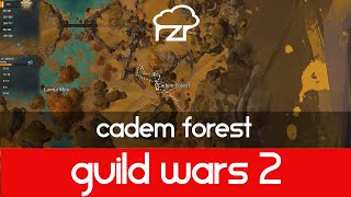 Guild Wars 2 Cadem Forest Vista [upl. by Bratton115]