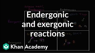 Endergonic exergonic exothermic and endothermic reactions  Khan Academy [upl. by Koby]