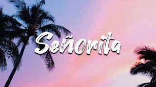 Shawn Mendes Camila Cabello  Señorita Lyrics [upl. by Nashom]