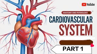 ANATOMY AND PHYSIOLOGY CARDIOVASCULAR SYSTEM PART 1 ।। GM NURSING CLASSES ।। GajendraMeenavw7vh [upl. by Dnyletak794]