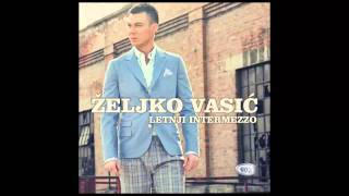 Zeljko Vasic  Zauvek  Audio 2013 HD [upl. by Selig]