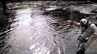 Fly Fishing the South Platte in Downtown Denver [upl. by Cassiani223]