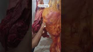 Como tirar a picanha carnes picanha desossa desossando receitas [upl. by Mulac980]