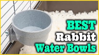 Best Rabbit Water Bowls 2022 Top 5 Picks [upl. by Burrton482]